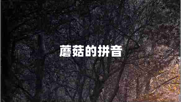 蘑菇的拼音 蘑菇的拼音