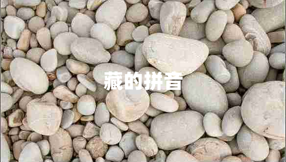 藏的拼音 藏的拼音