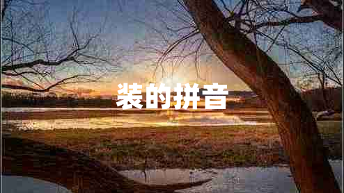 裝的拼音 裝的拼音