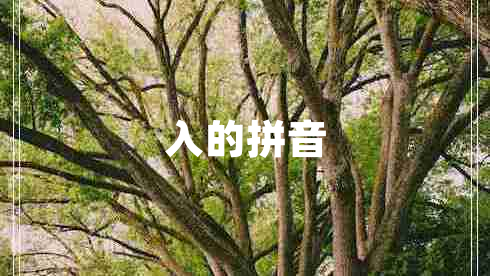 入的拼音 入的拼音