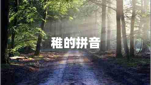 稚的拼音 稚的拼音