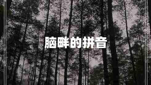 腦畔的拼音