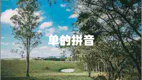 單的拼音 單的拼音