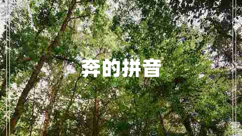 奔的拼音 奔的拼音