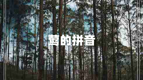 鶯的拼音 鶯的拼音