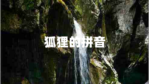 狐貍的拼音 狐貍的拼音