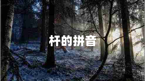 桿的拼音 桿的拼音