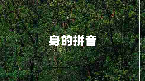 身的拼音 身的拼音