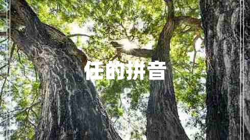 任的拼音 任的拼音