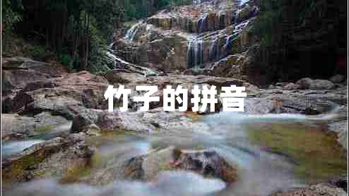 竹子的拼音