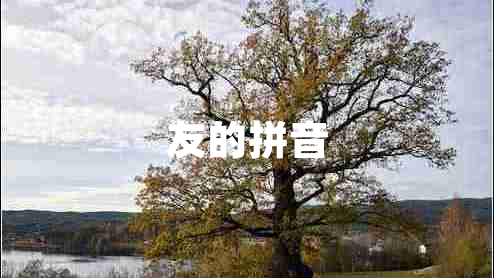 友的拼音 友的拼音