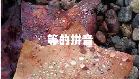 等的拼音 等的拼音