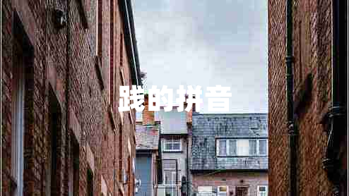 踐的拼音 踐的拼音