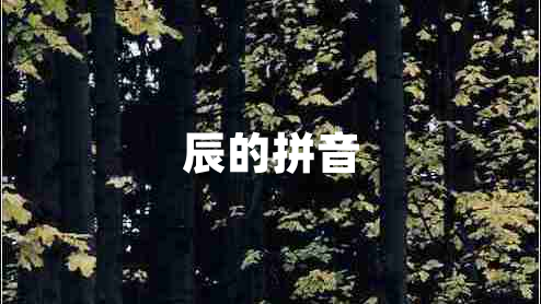 辰的拼音 辰的拼音