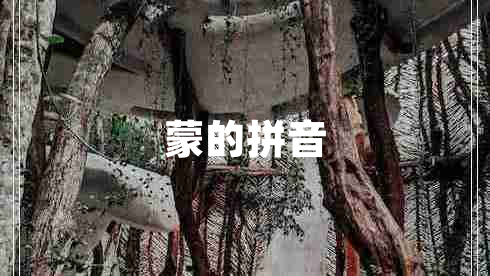 蒙的拼音 蒙的拼音