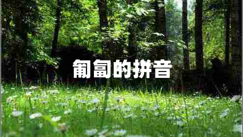 匍匐的拼音 匍匐的拼音