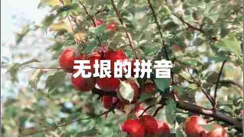 無(wú)垠的拼音