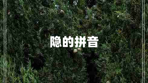 隱的拼音 隱的拼音