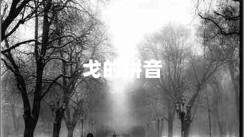 戈的拼音 戈的拼音