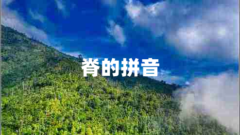 脊的拼音 脊的拼音