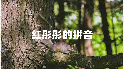 紅彤彤的拼音 紅彤彤的拼音