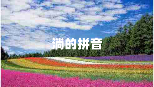 淌的拼音 淌的拼音