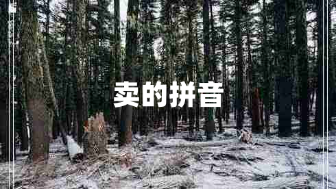 賣的拼音 賣的拼音