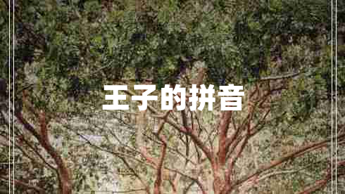 王子的拼音 王子的拼音