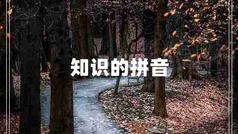 知識(shí)的拼音