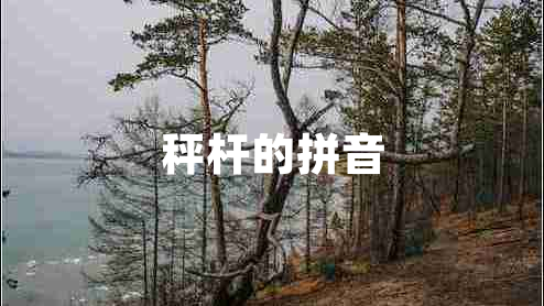 秤桿的拼音 秤桿的拼音