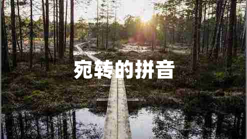 宛轉(zhuǎn)的拼音