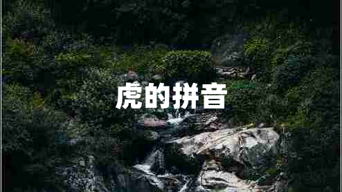 虎的拼音 虎的拼音