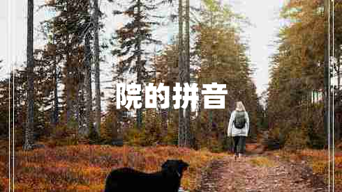 院的拼音 院的拼音