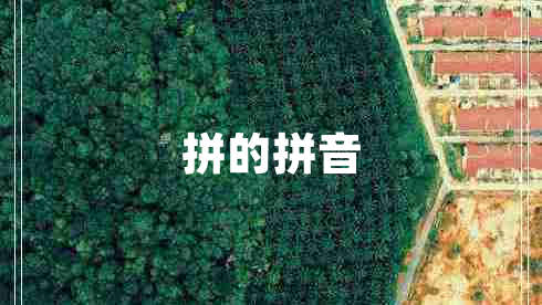 拼的拼音 拼的拼音