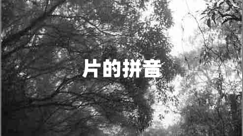 片的拼音
