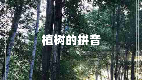 植樹的拼音 植樹的拼音