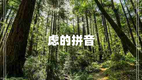 慮的拼音 慮的拼音