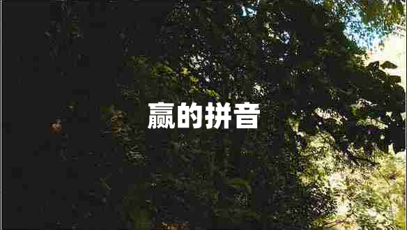 贏的拼音 贏的拼音