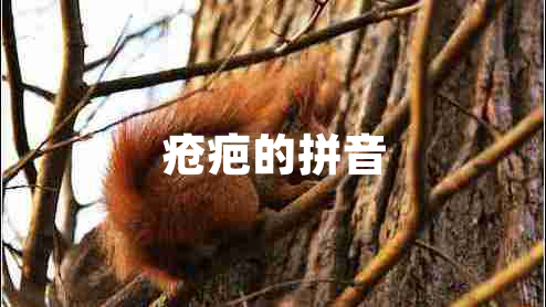 瘡疤的拼音 瘡疤的拼音