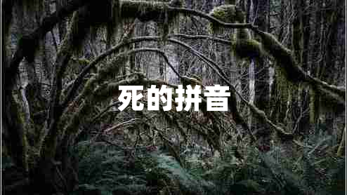死的拼音 死的拼音