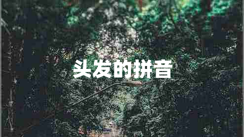頭發(fā)的拼音 頭發(fā)的拼音