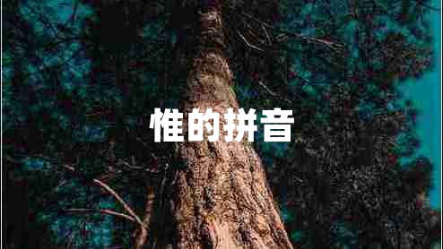 惟的拼音 惟的拼音