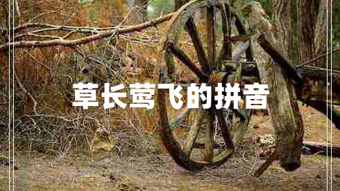 草長(zhǎng)鶯飛的拼音 草長(zhǎng)鶯飛的拼音