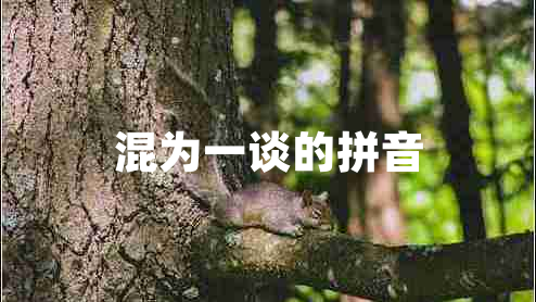 混為一談的拼音