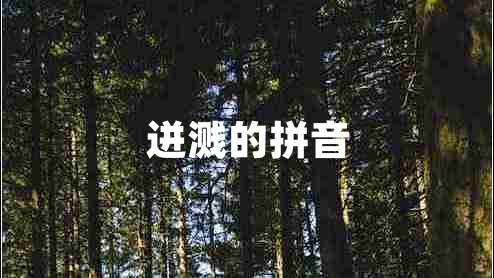 迸濺的拼音 迸濺的拼音