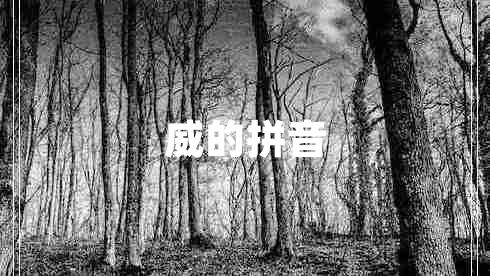 威的拼音 威的拼音