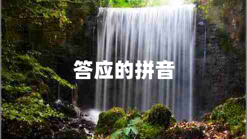 答應(yīng)的拼音