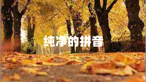 純凈的拼音 純凈的拼音