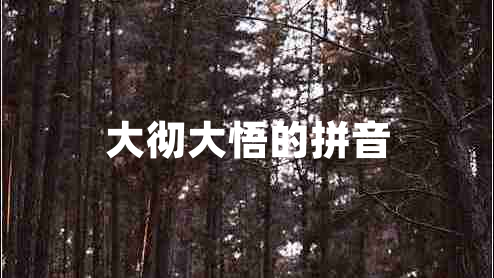 大徹大悟的拼音 大徹大悟的拼音