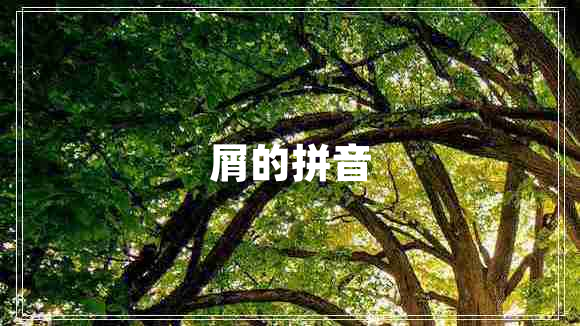 屑的拼音 屑的拼音